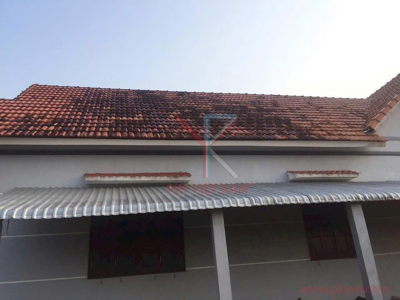 NGUYÊN NHÂN MÁI NGÓI BỊ RONG RÊU, NẤM MỐC VÀ CÁCH XỬ LÍ HIỆU QUẢ